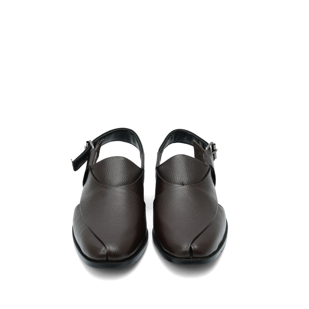Royal Pashwari Brown-1004
