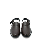 Royal Pashwari Brown-1004