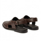 Royal Pashwari Brown-1004
